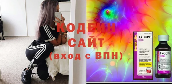 крисы Алексин