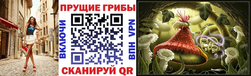 Галлюциногенные грибы мицелий  Шадринск 